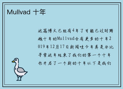 Mullvad 十年 