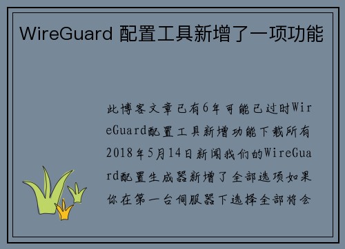 WireGuard 配置工具新增了一项功能 